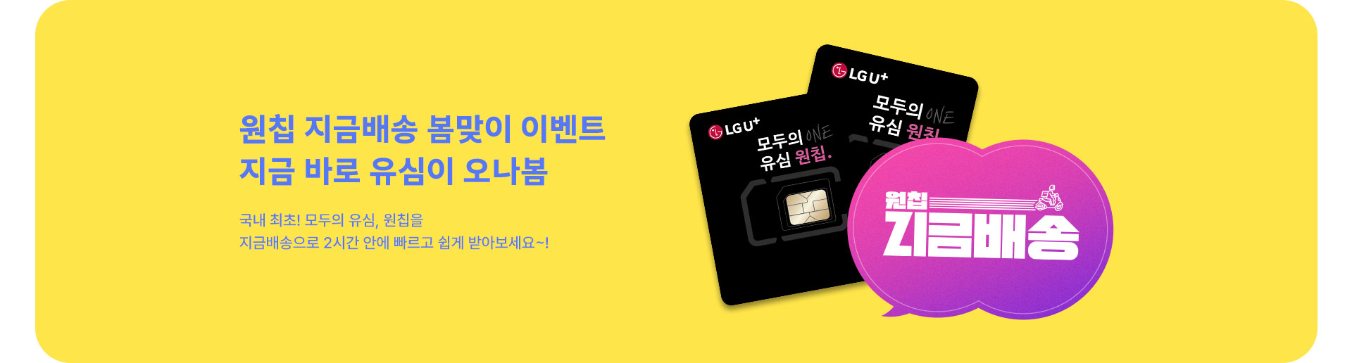 원칩 지금 배송 (5월)
