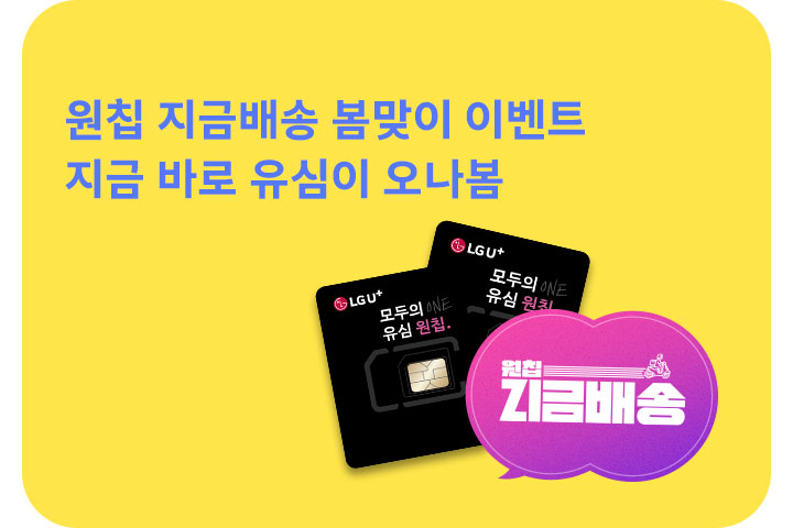 원칩 지금 배송 (5월)