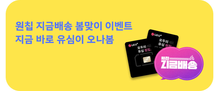 원칩 지금 배송 (5월)