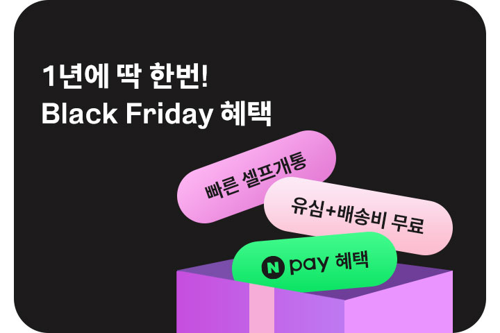 블랙 프라이데이 혜택 (11월)