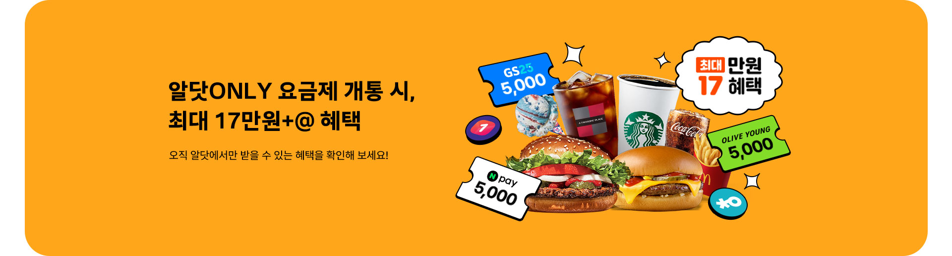 월간 알닷 (11월)