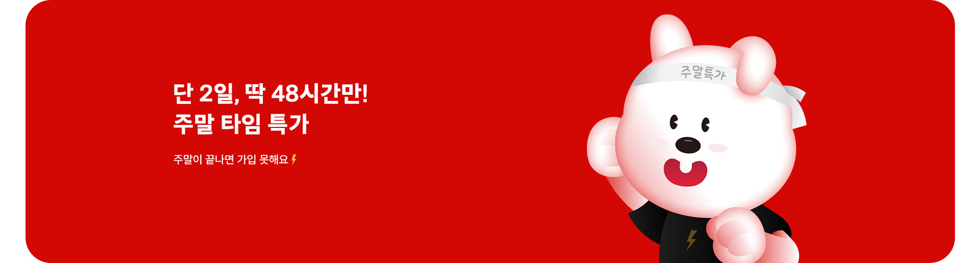 단 2일🔥주말 타임 특가 (3월)