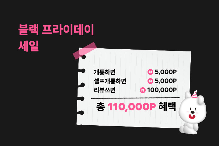 블랙 프라이데이 세일 (11월)