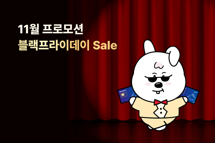 블랙프라이데이 Sale (11월)