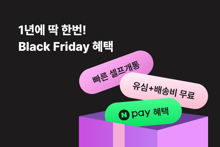 블랙 프라이데이 혜택 (11월)